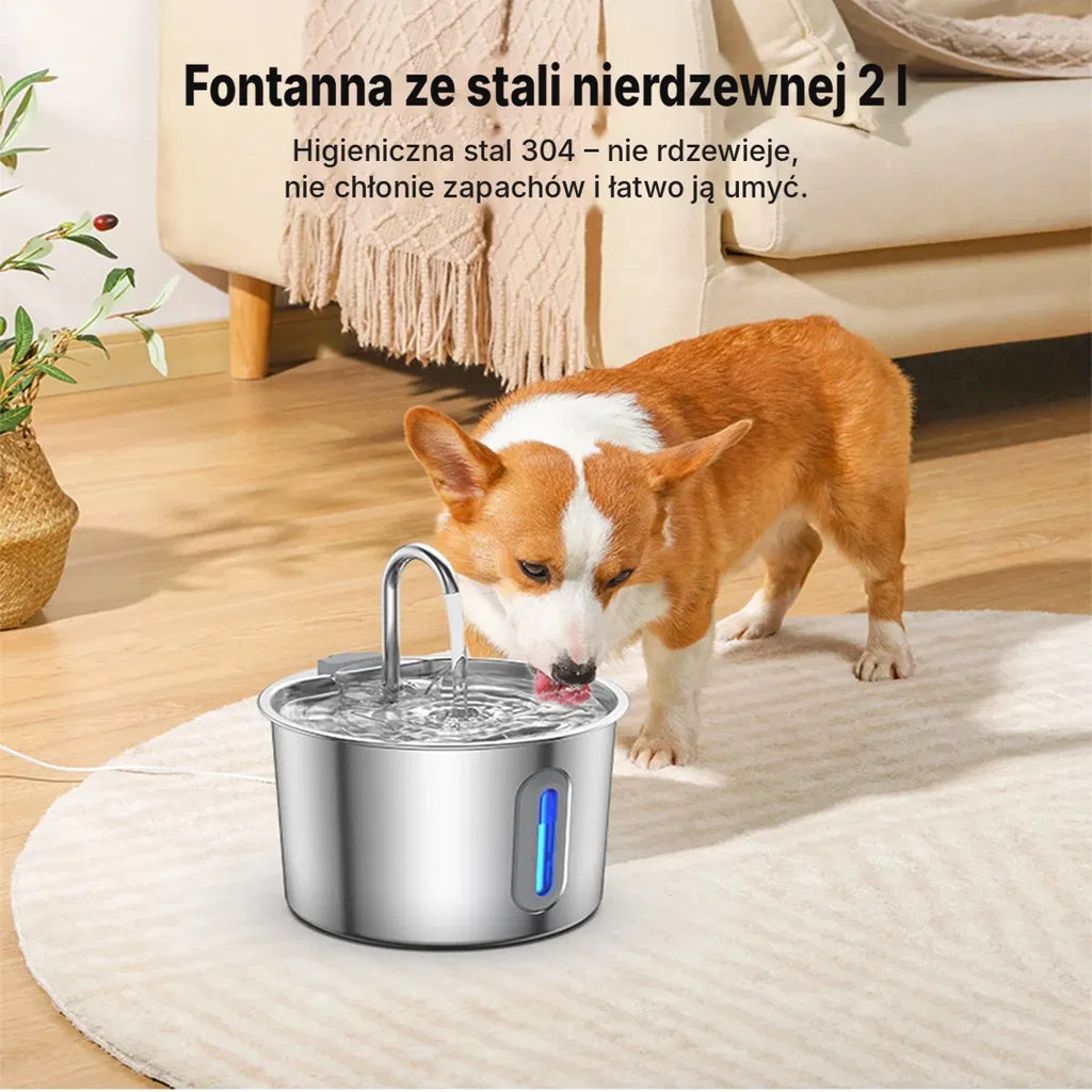 Fontanna dla kota ze stali nierdzewnej